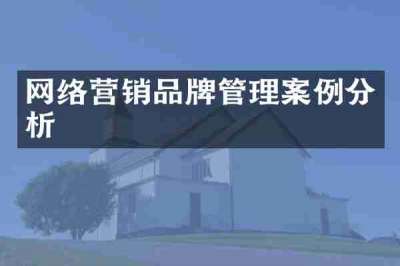 网络营销品牌管理案例分析