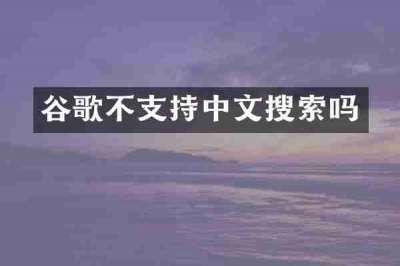 谷歌不支持中文搜索吗