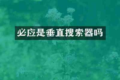 必应是垂直搜索器吗