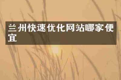兰州快速优化网站哪家便宜
