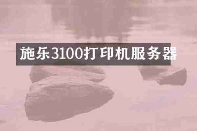施乐3100打印机服务器