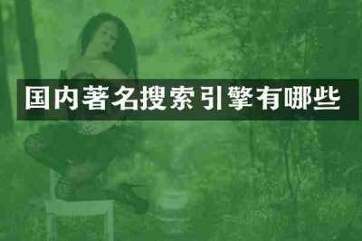 国内著名搜索引擎有哪些