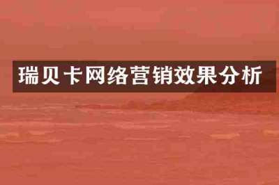 瑞贝卡网络营销效果分析