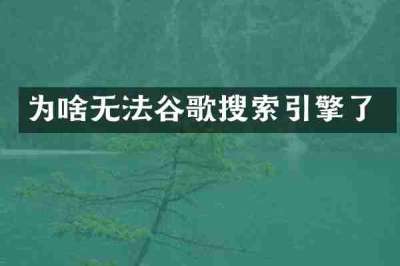 为啥无法谷歌搜索引擎了