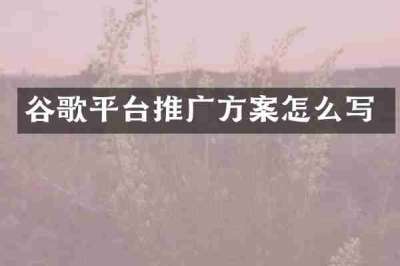 谷歌平台推广方案怎么写