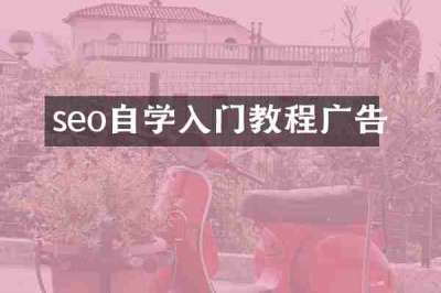 seo自学入门教程广告