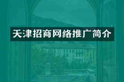 天津招商网络推广简介