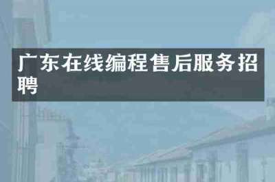 广东在线编程售后服务招聘