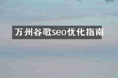 万州谷歌seo优化指南