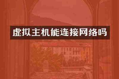 虚拟主机能连接网络吗