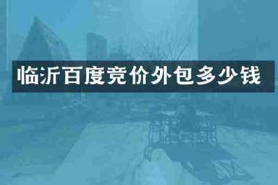 临沂百度竞价外包多少钱
