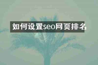 如何设置seo网页排名