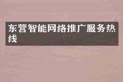 东营智能网络推广服务热线
