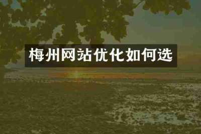 梅州网站优化如何选