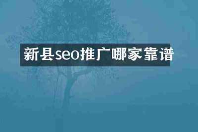 新县seo推广哪家靠谱