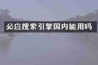 必应搜索引擎国内能用吗