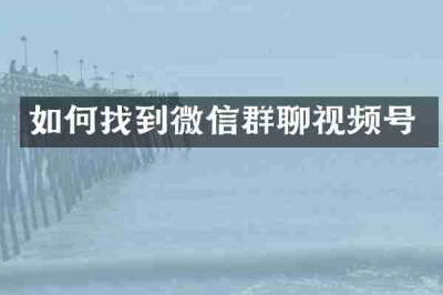 如何找到微信群聊视频号