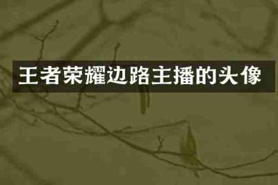 王者荣耀边路主播的头像