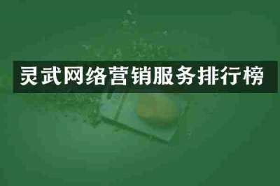 灵武网络营销服务排行榜