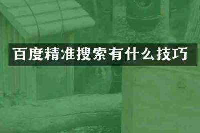 百度精准搜索有什么技巧