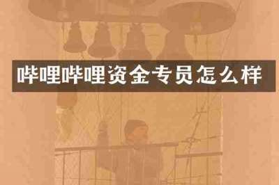 哔哩哔哩资金专员怎么样
