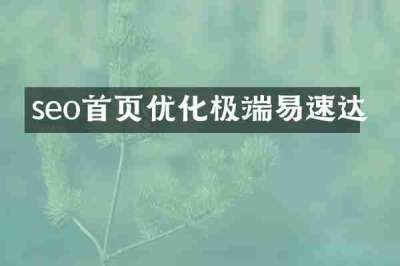 seo首页优化极端易速达
