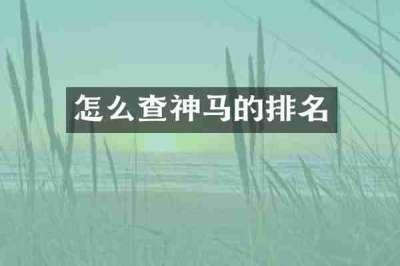 怎么查神马的排名