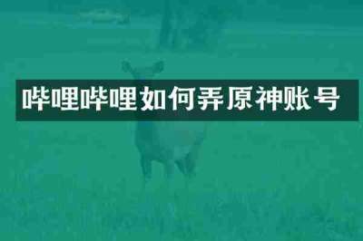 哔哩哔哩如何弄原神账号
