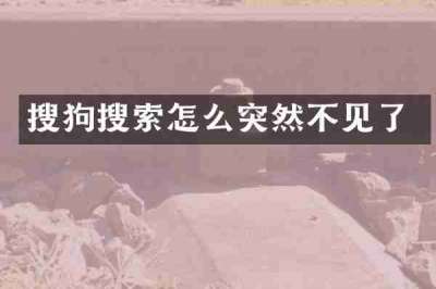 搜狗搜索怎么突然不见了