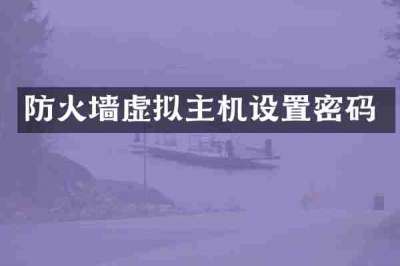 防火墙虚拟主机设置密码