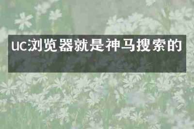 uc浏览器就是神马搜索的吗