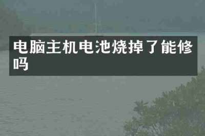 电脑主机电池烧掉了能修吗