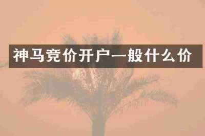 神马竞价开户一般什么价