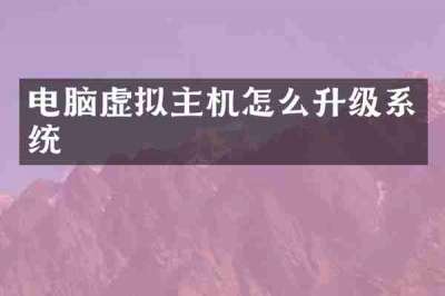 电脑虚拟主机怎么升级系统