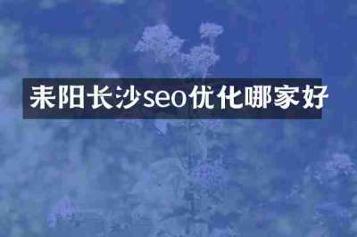 耒阳长沙seo优化哪家好