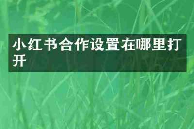 小红书合作设置在哪里打开