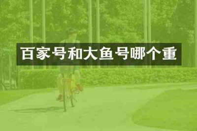 百家号和大鱼号哪个重