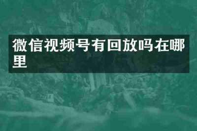 微信视频号有回放吗在哪里