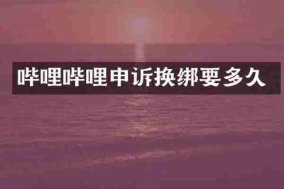 哔哩哔哩申诉换绑要多久