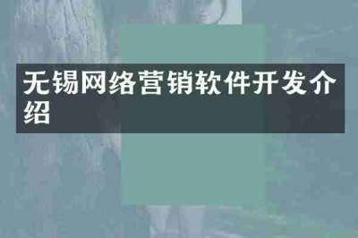 无锡网络营销软件开发介绍