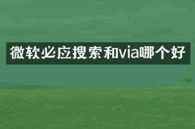 微软必应搜索和via哪个好