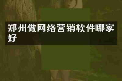 郑州做网络营销软件哪家好