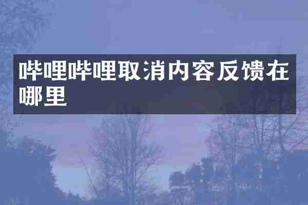 哔哩哔哩取消内容反馈在哪里