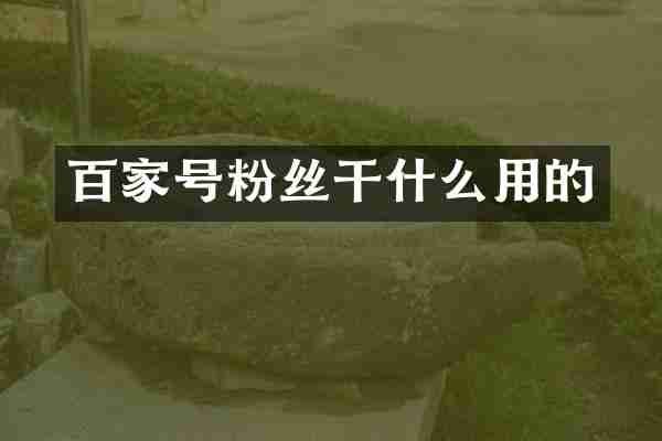 百家号粉丝干什么用的