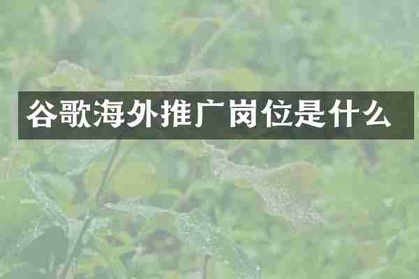 谷歌海外推广岗位是什么