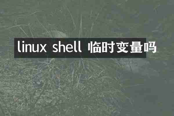 linux shell 临时变量吗