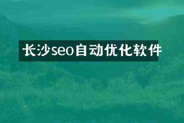 长沙seo自动优化软件