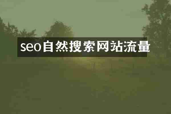 seo自然搜索网站流量