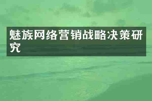 魅族网络营销战略决策研究