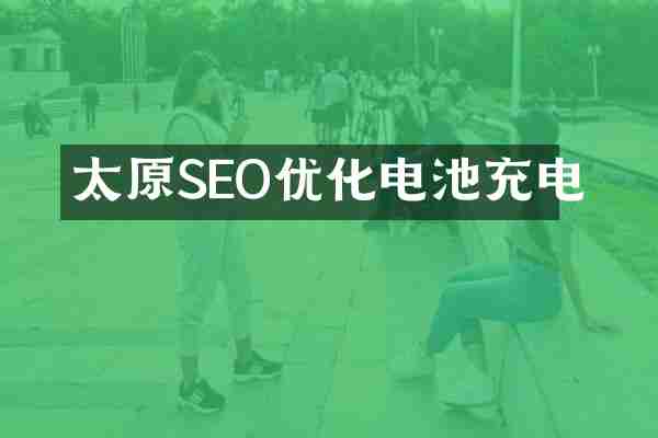太原SEO优化电池充电